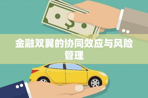 台南金融双翼的协同效应与风险管理