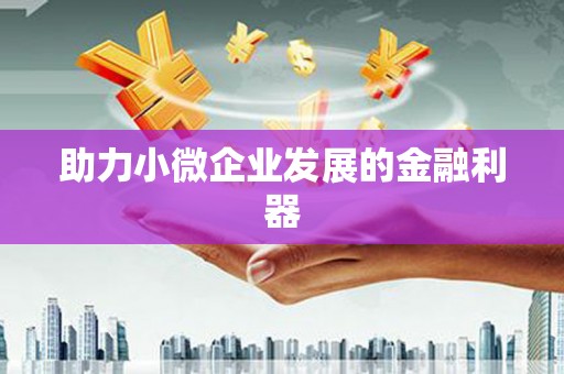 台南助力小微企业发展的金融利器