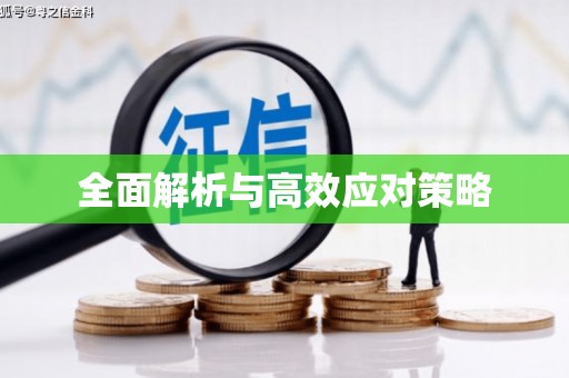 台南全面解析与高效应对策略