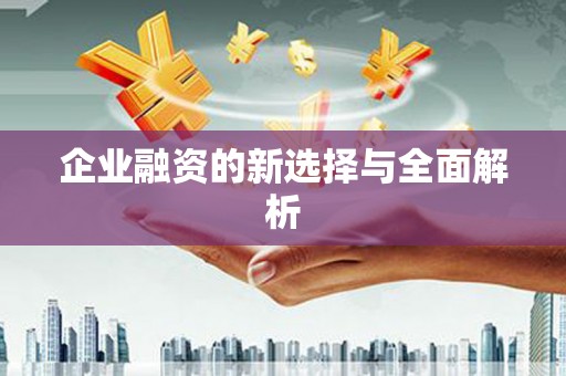 台南企业融资的新选择与全面解析