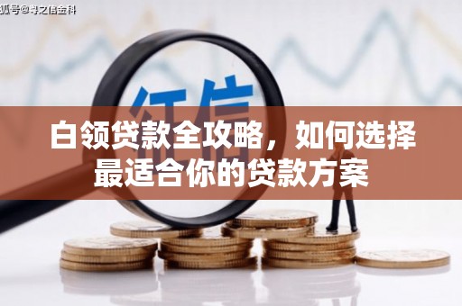 台南白领贷款全攻略，如何选择最适合你的贷款方案