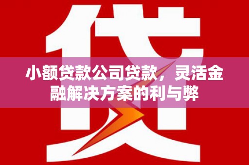 台南小额贷款公司贷款，灵活金融解决方案的利与弊