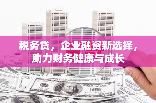 台南税务贷，企业融资新选择，助力财务健康与成长
