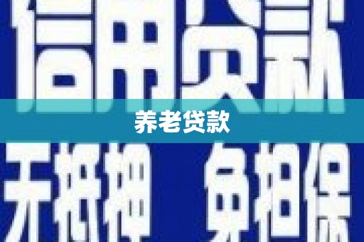 台南养老贷款