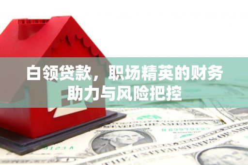 台南白领贷款,职场精英的财务助力与风险把控 台南白领贷款,职场精英的财务助力与风险把控