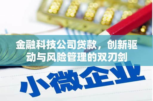 台南金融科技公司贷款，创新驱动与风险管理的双刃剑