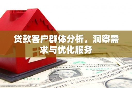 台南贷款客户群体分析，洞察需求与优化服务